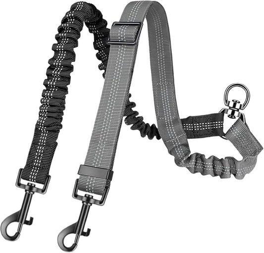 2-in-1 Dog Double Leash
