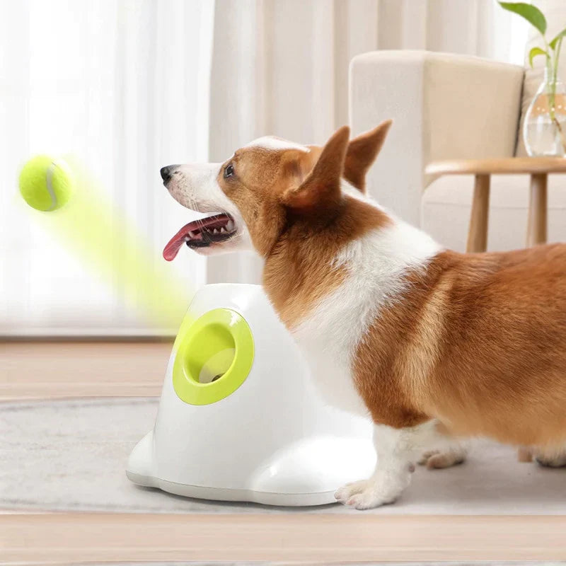 MyDailyPets™ Automatic Ball Launcher For Dogs