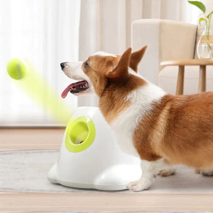 MyDailyPets™ Automatic Ball Launcher For Dogs