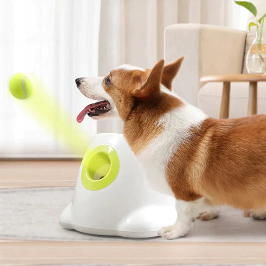 MyDailyPets™ Automatic Ball Launcher For Dogs