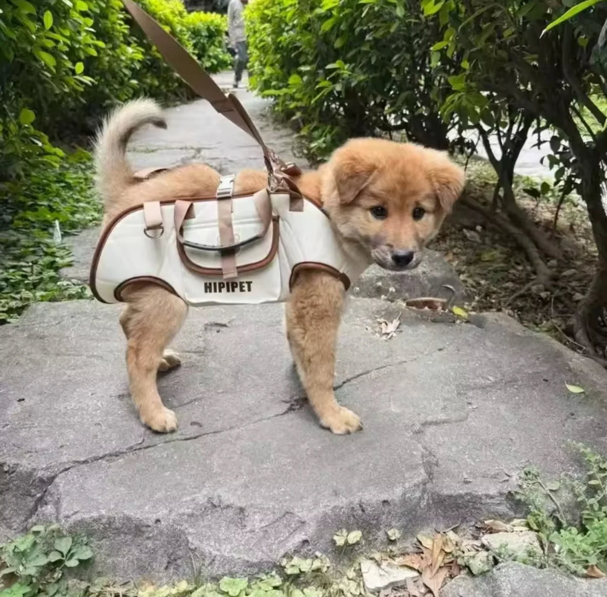 MyDailyPets™ Air-Lift Carry Harness & Dog Shoulder Carrier