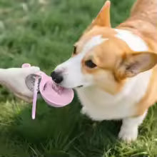 MyDailyPets™ 2-in-1 Portable Dog Water Bottle