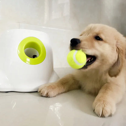 MyDailyPets™ Automatic Ball Launcher For Dogs