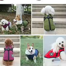 3 in 1 Winter Jacket Dogs