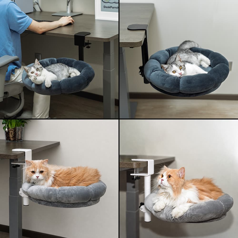MyDailyPets™  Cat Desk Bed & Hammock