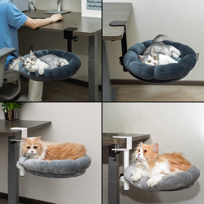 MyDailyPets™  Cat Desk Bed & Hammock